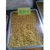 收购漆树籽