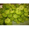 新街镇聚起姜饼瓜率先上市