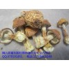 镇沅县富民姬松茸种植农民专业合作社