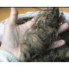 重楼百芨种植