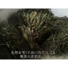 出售石苇