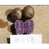 云南师大6号紫马铃薯基地供应厂家