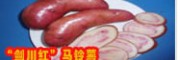 剑川马铃薯农民专业合作社