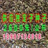 2015年中国广州国际渔业博览会