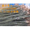 供应2、3、4、5公分速生白蜡、速生国槐、榆树