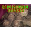 会泽玛卡干鲜果主要有紫玛卡干鲜果、黄玛卡干鲜果。玛卡干鲜果，欢迎广大顾客前来订购