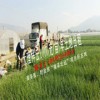 大理祥云每天2.7元/亩土地出租