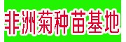 昆明市晋宁景鑫花卉非洲菊种苗基地