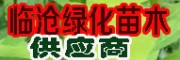 火镰菜苗圃*山胡椒苗木*天干果苗木