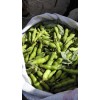 云南红河菜豌豆供应商