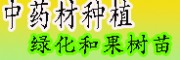 黄精、辣木、重楼等中药材的种子培育