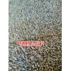 砂仁花椒基地直销_砂仁价格_花椒批发