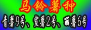 云南寻甸商品薯公司