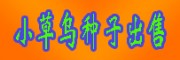 会泽小草乌_产地小草乌种子批发供应商