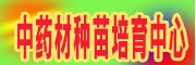 曲靖沾益区西平镇滇重楼繁育基地