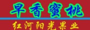 早红桃、紫桃、红宝石蜜桃