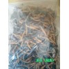 云南香格里拉虫草价格