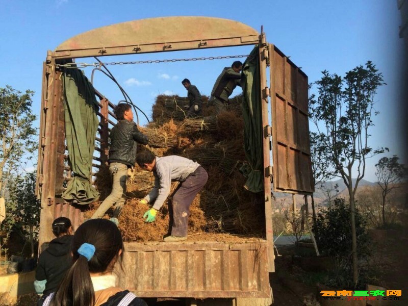 点击打开原图