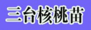 三台核桃苗