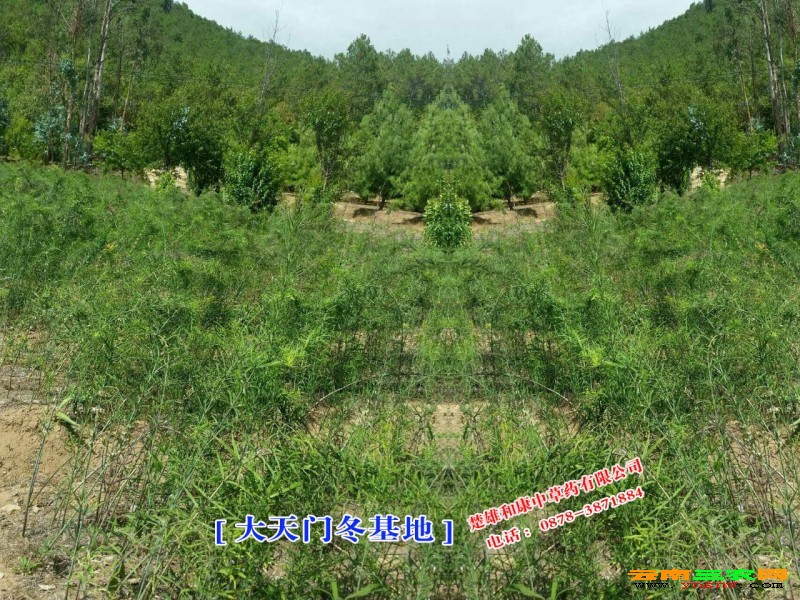 点击打开原图
