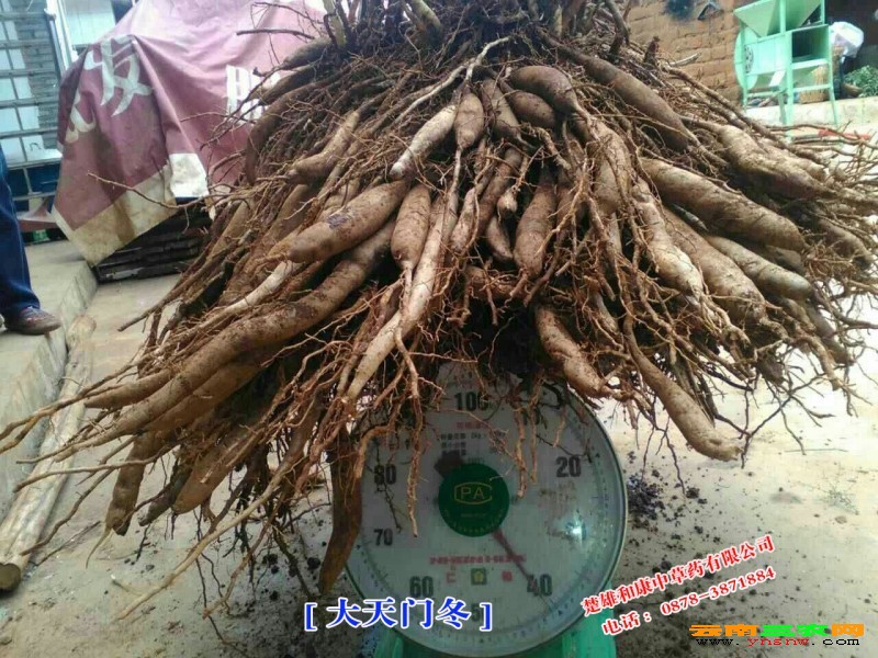 点击打开原图