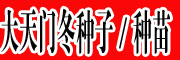 大天门冬