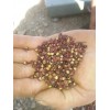 丽江花椒种植技术_丽江花椒供应商家_丽江花椒批发户