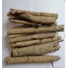 云南怒江原生态厚朴中药材_云南厚朴