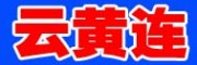 云南怒江原生态云黄连