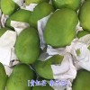 云南润丰水果商行专供越南猫山王榴莲