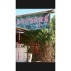 白胡椒粉怎么卖,2016白胡椒面批发价格,* 黑白胡椒供应