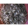 白芨苗、灯盏花和珠子参等药材种苗白芨