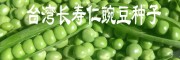 【长寿仁豌豆】