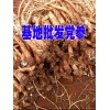 臭参销售基地*云南臭党参药材供应/昭通优质臭参