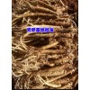 【云南臭党参中药材批发】@党参中药基地种植户