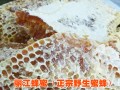 |云南蜂蜜供应|云南蜂蜜|四川蜂蜜价格/山蜂蜜