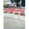 云南滇重楼出售_大姚春苗中药材种植公司产品,滇重楼种子（籽）