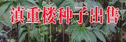 云南滇重楼基地(评价)