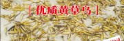 黄草乌图片/报价(回收公司)
