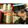 天然蜂胶多少钱|今日蜂蜜行情价格:0871-64155848