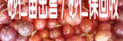 云南阳春砂仁苗(保成活率)