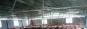 大关县林下生态土鸡养殖场(图片)