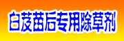 白芨苗后专用除草剂