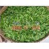 红河绿春哪里有绿茶制品厂