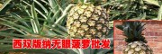 云南沙拉瓦|景洪千里花（无眼菠萝）销售市场报价