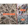 丽江/香格里拉草乌种子价格