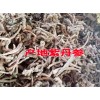 赤参、山参、奔马草(又名丹参)_产地紫丹参供货商价格