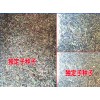 金铁锁/当归/草乌/种子_会泽润滇种植有限公司司产品供求信息