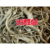 适合云南种植的中药材种子销售(当归/独定子/重楼/白芨)