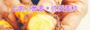 小黄姜（姜种）哪的好